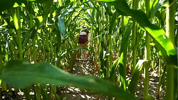 Horny blowjob in a corn field