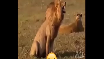 2d6f667602ece0fc15f031049a6687c5