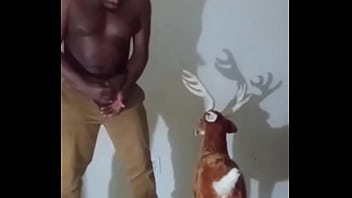 Similar colors to creamy peanut butter 3