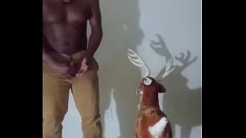 Similar colors to creamy peanut butter 3