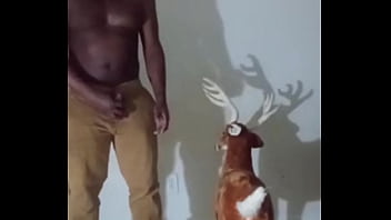 Similar colors to creamy peanut butter 3