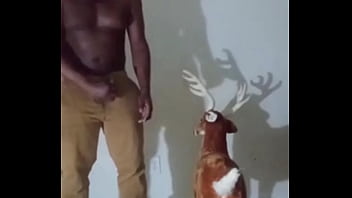 Similar colors to creamy peanut butter 3