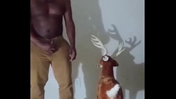 Similar Colors To Creamy Peanut Butter 3 thumbnail