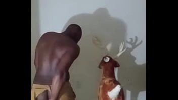 Similar colors to creamy peanut butter 3