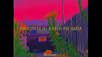 Cuco mi querido miviejo miamigo cuca puffs