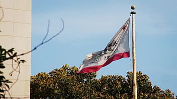 New york tme presents britney español