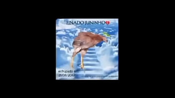 Finado junido rip