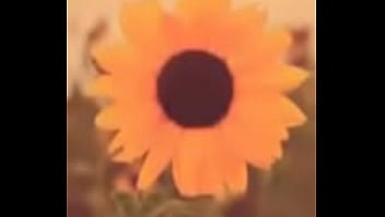 Perrita cantando semi desnuda