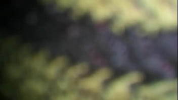 No se grabo bien el video pero fue sexo anal