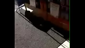 Culotes De Madura En Fila De Farmacia Gdl En Aguascalientes thumbnail