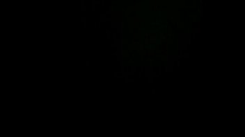 Danville va northside