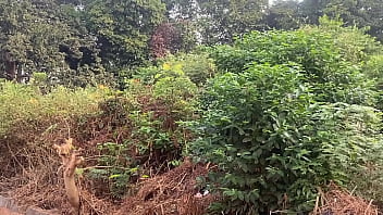 A romance in the jungle