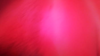 Mi linda amante en el hotwl