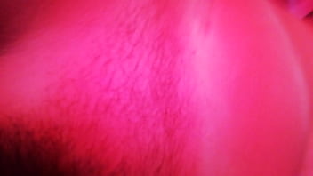 Mi linda amante en el hotwl