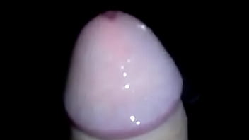 Apresentação da rola