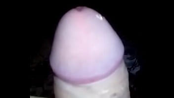 Apresentação da rola Apresentação da rola