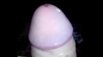 Apresentação da rola