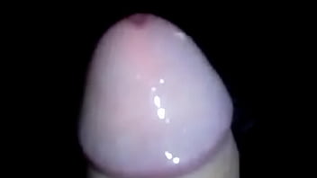 Apresentação da rola