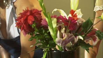 Dee spreads her legs for some quality head