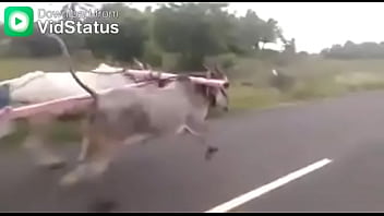 Video bokep part 44001485