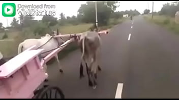 Video bokep part 44001485