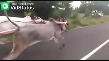 Video bokep part 44001485