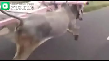 Video bokep part 44001485