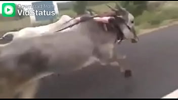 Video bokep part 44001485