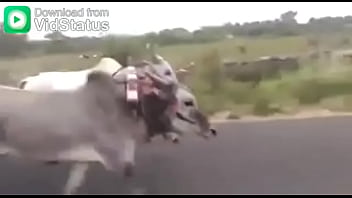 Video bokep part 44001485