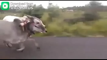 Video bokep part 44001485