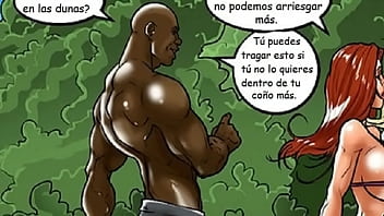 Flex segundo capítulo