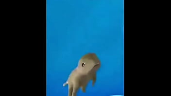 Minina Brancando thumbnail