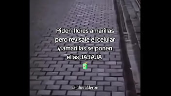 Mira Mira