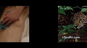 40f7fd3b681ff43f84cfbdf34494925b 40f7fd3b681ff43f84cfbdf34494925b