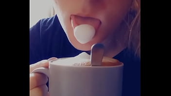 Bonjouir les petits chats