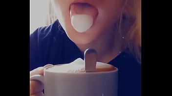 Bonjouir les petits chats