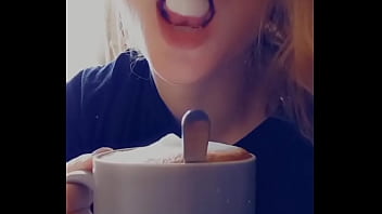 Bonjouir les petits chats