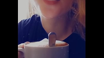 Bonjouir les petits chats Bonjouir les petits chats