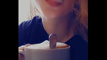 Bonjouir les petits chats