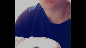 Bonjouir les petits chats