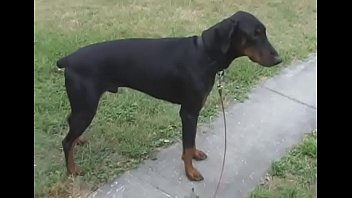 Sugary mandy feels well on top