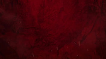 Maratona da coelha foda e gozada de lado até o limite