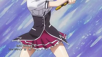 Caiu na net advoga de brusque