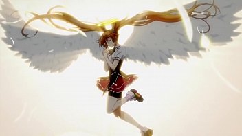 Caiu na net advoga de brusque