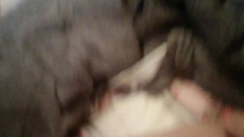 Young Couple Fuck thumbnail