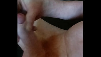 Domácí hoňka amatérského zrzka rád si protahuje svoje malé zrzavé péro