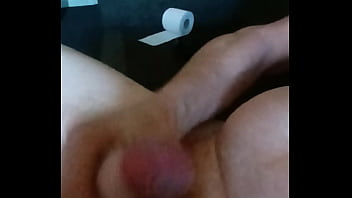 Domácí hoňka amatérského zrzka rád si protahuje svoje malé zrzavé péro