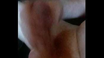 Domácí hoňka amatérského zrzka rád si protahuje svoje malé zrzavé péro