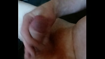 Domácí hoňka amatérského zrzka rád si protahuje svoje malé zrzavé péro