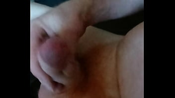 Domácí hoňka amatérského zrzka rád si protahuje svoje malé zrzavé péro